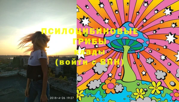 соль ск Вязники