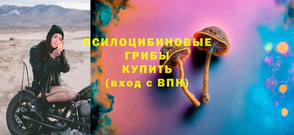 стаф Вязьма
