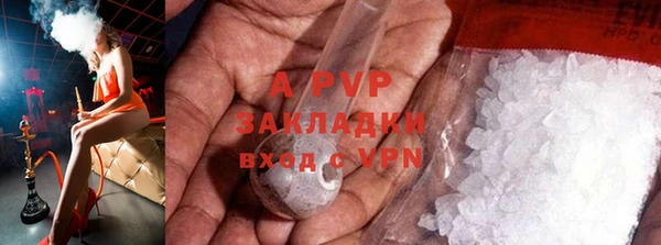 стаф Вязьма