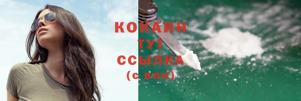 стаф Вязьма