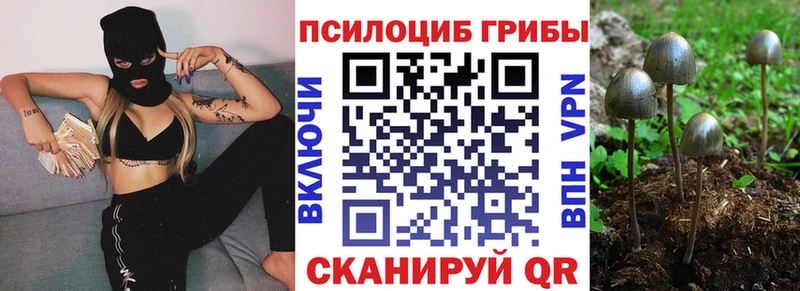 darknet телеграм  Зеленокумск  Псилоцибиновые грибы мухоморы 